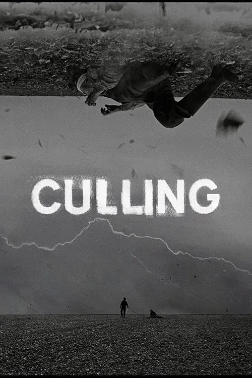 Culling movie poster