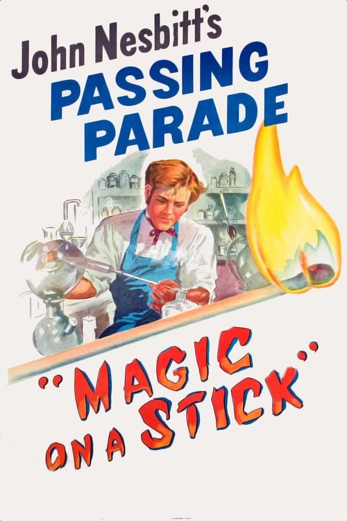 Magic on a Stick movie poster