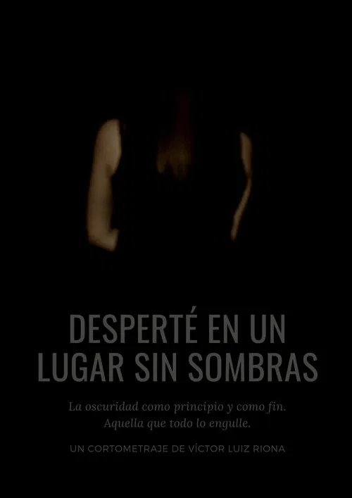 I woke up in a place without shadows movie poster