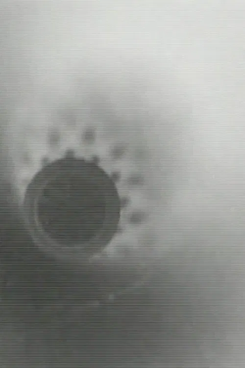 Moment Musical movie poster