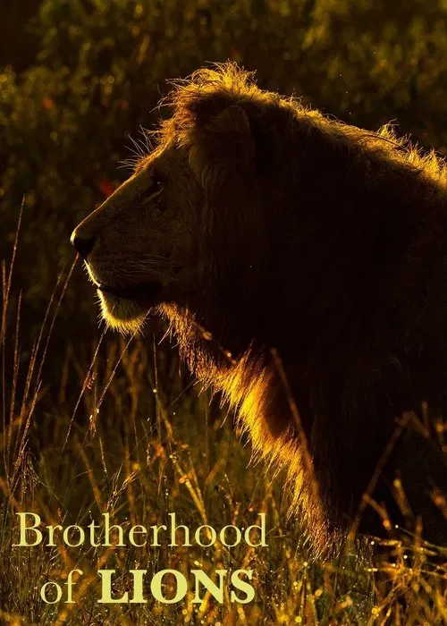 Poster da série Brotherhood of Lions