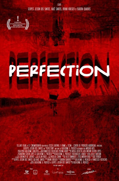 Perfection movie poster