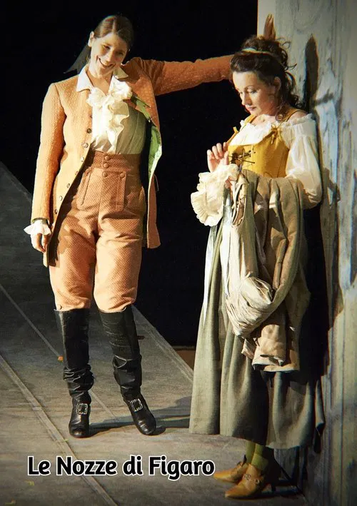 Poster do filme Le Nozze di Figaro - Wiener Staatsoper