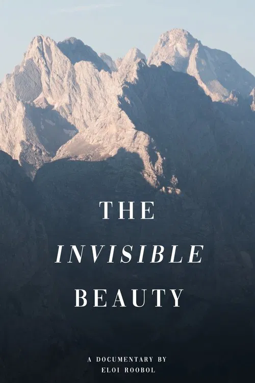 The Invisible Beauty movie poster