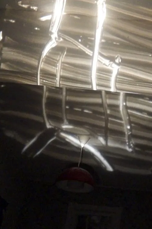 Come Coyote movie poster