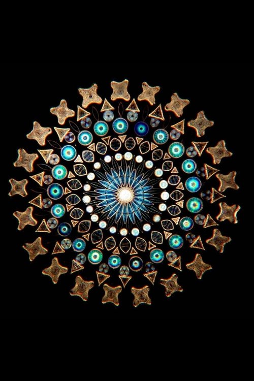 The Diatomist movie poster