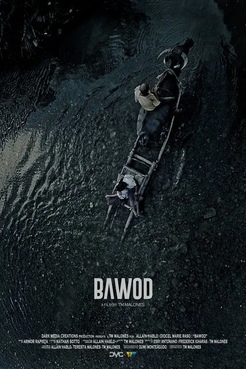 Poster do filme Bawod
