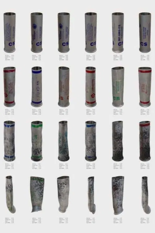 Model Zoo movie poster