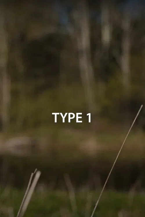 Type 1 movie poster