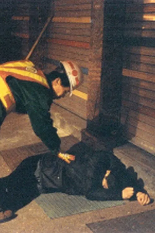 JONGNO, WINTER movie poster