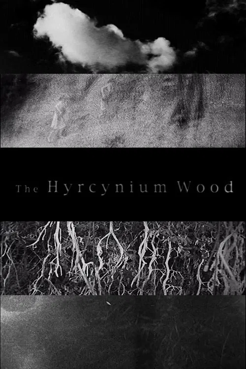 Poster do filme The Hyrcynium Wood