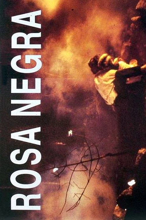 Rosa Negra movie poster