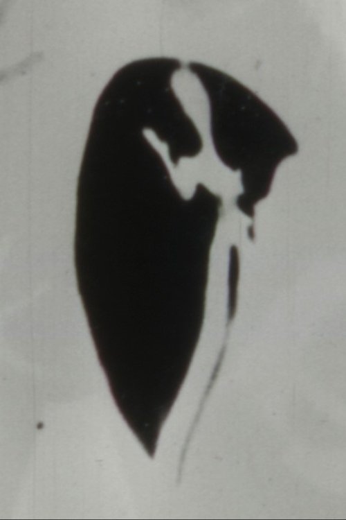 Parallax movie poster