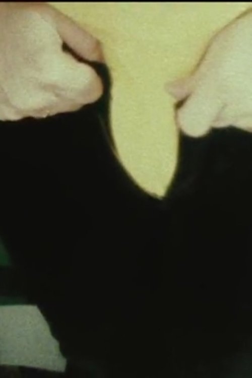 Poster do filme Five Year Diary, Reel 1: The Beginning Thanksgiving (November 3–December 13, 1981)