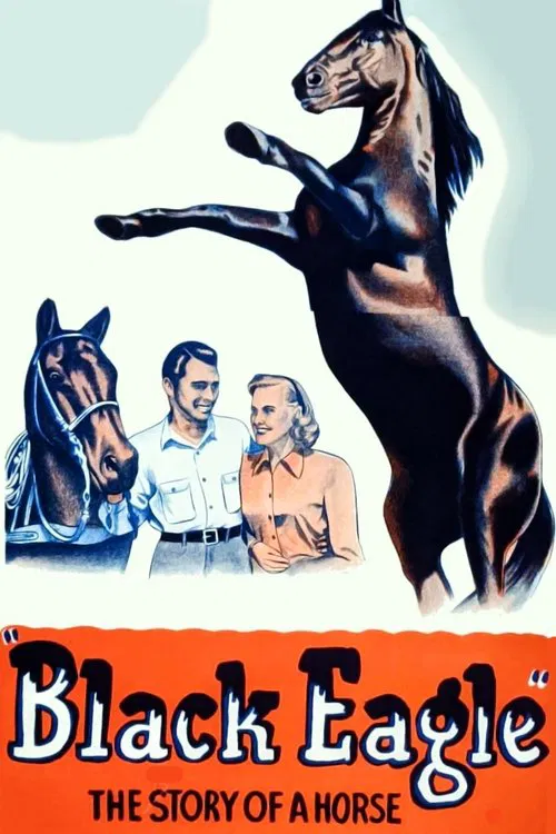 Black Eagle movie poster