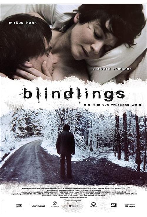Blind Spot movie poster
