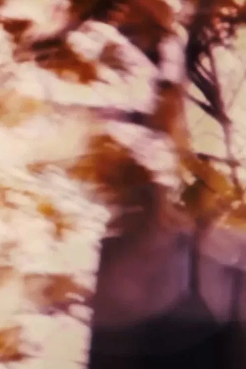 Poster do filme The Driveways of People's Houses