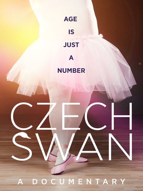 Czech Swan movie poster