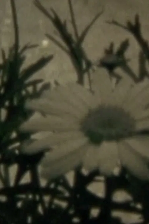 Blumenhysterie movie poster