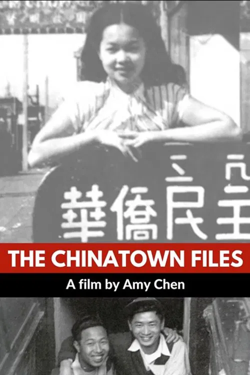 The Chinatown Files movie poster