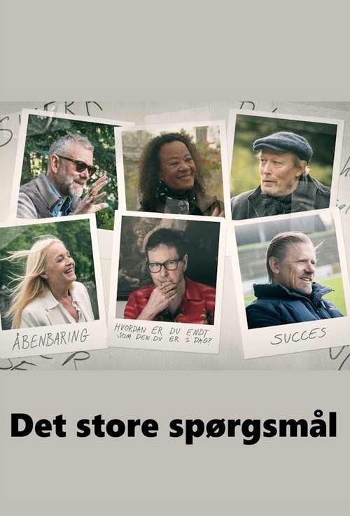 Det store spørgsmål tv show poster