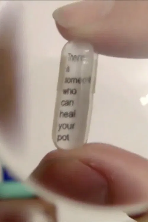 The Galactic Pot Healer movie poster