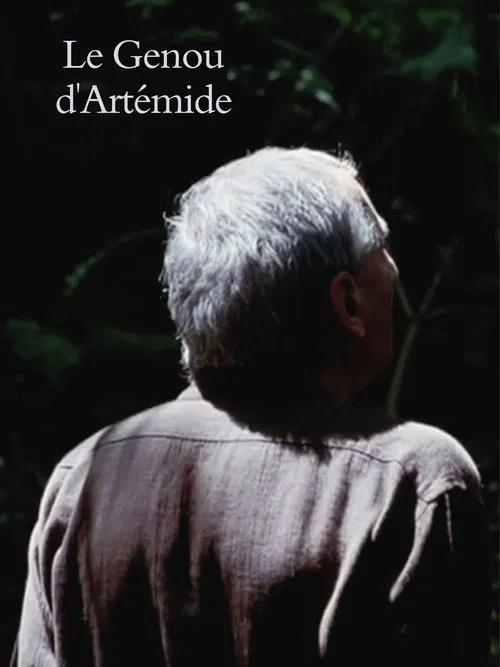 Artemide’s Knee movie poster