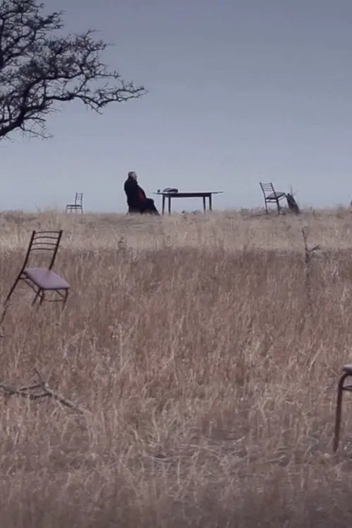 The Silent Bird movie poster