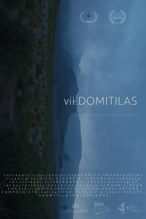 VII Domitilas movie poster