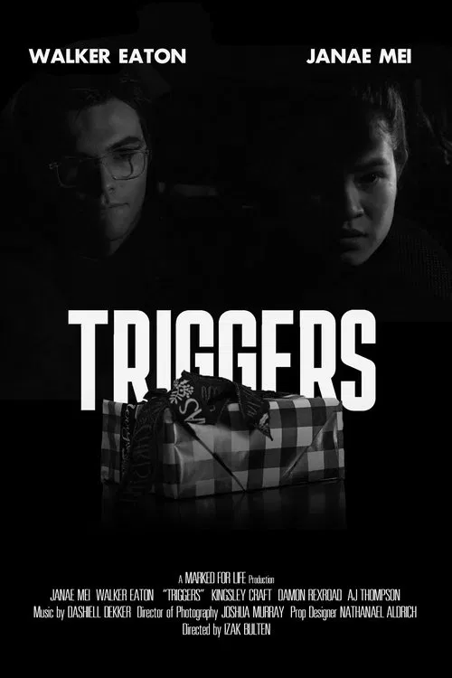 Poster do filme Triggers