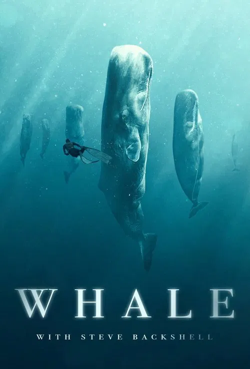 Whale with Steve Backshall tv show poster