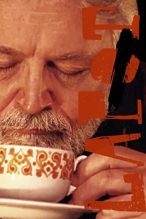 Poster do filme Lapot