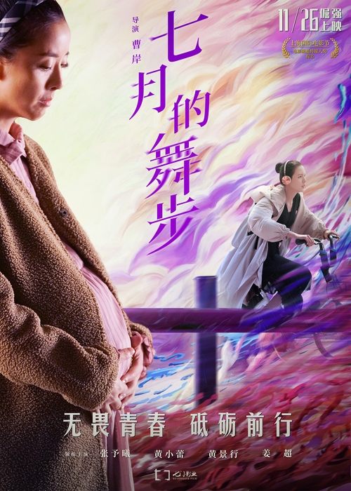 Fairy Dance movie poster