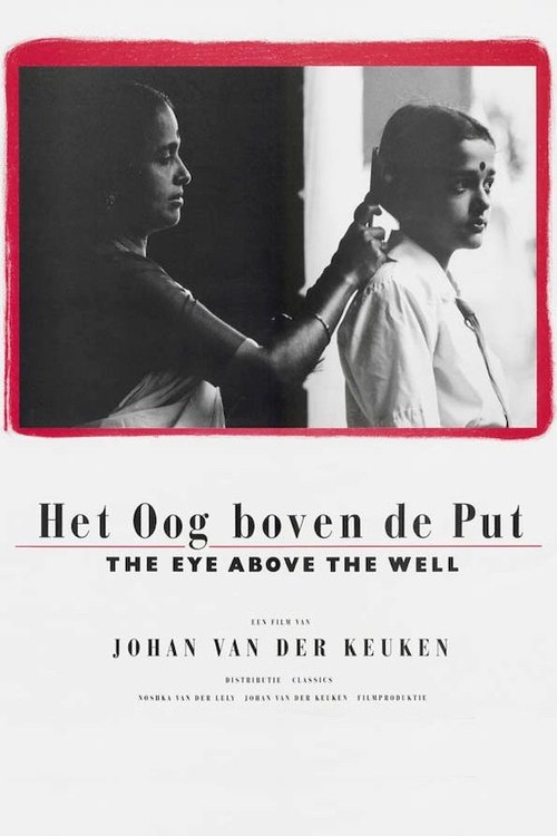 The Eye Above the Well movie poster