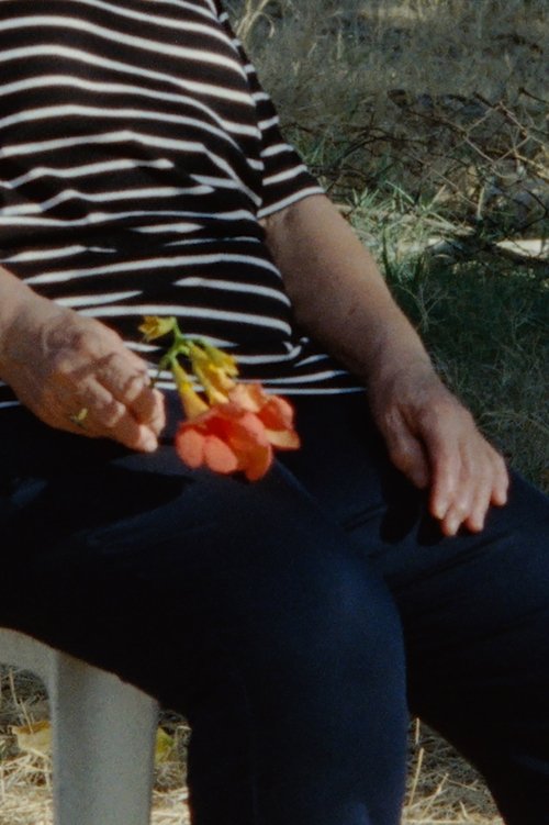 As Time Passes movie poster