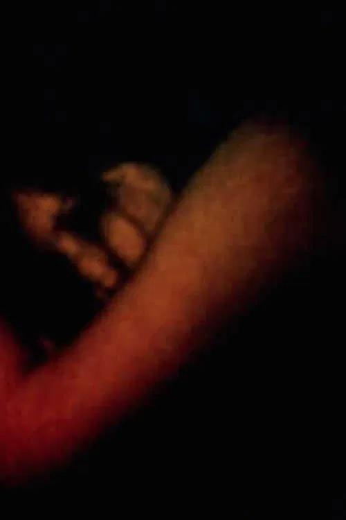 True Love movie poster