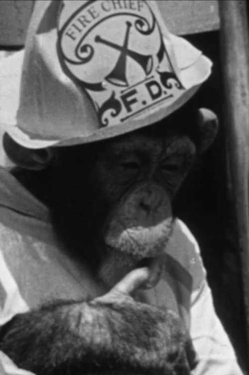 The Rookie Fireman movie poster