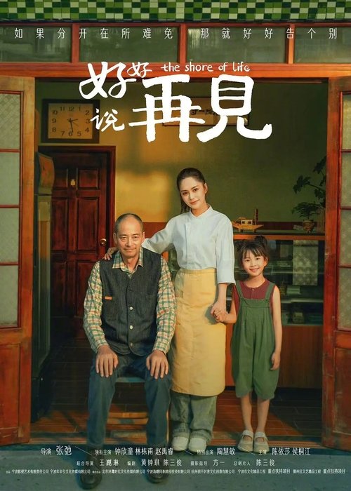 好好说再见 movie poster