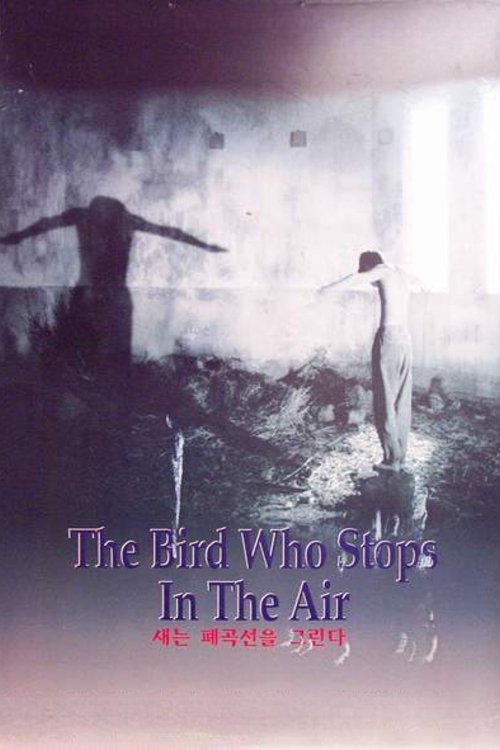 The Bird Who Stops in the Air movie poster
