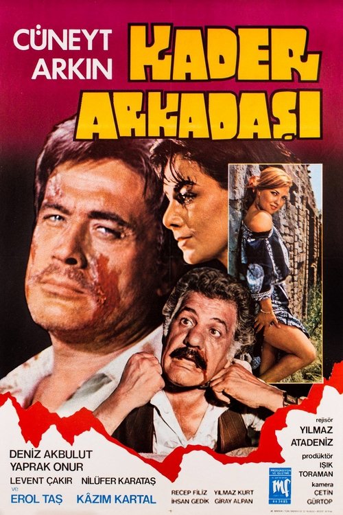 Poster do filme Kader Arkadaşı