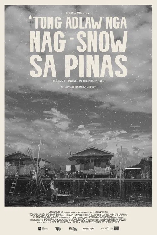 The Day It Snowed In The Philippines movie poster