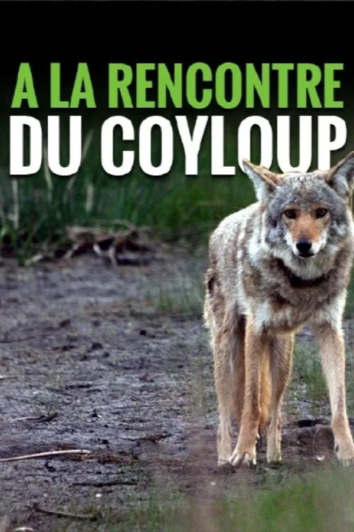 A la rencontre du coyloup movie poster