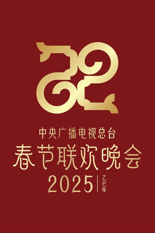 2025年中央广播电视总台春节联欢晚会 movie poster