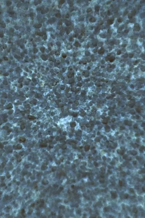 Zerzura movie poster