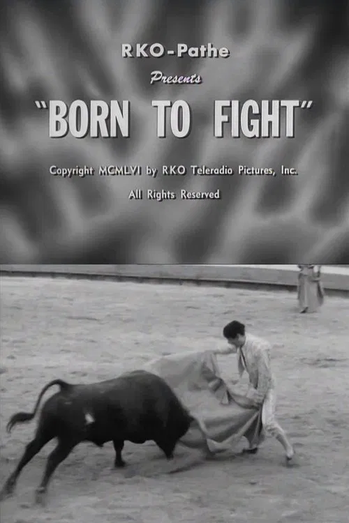 Born to Fight movie poster
