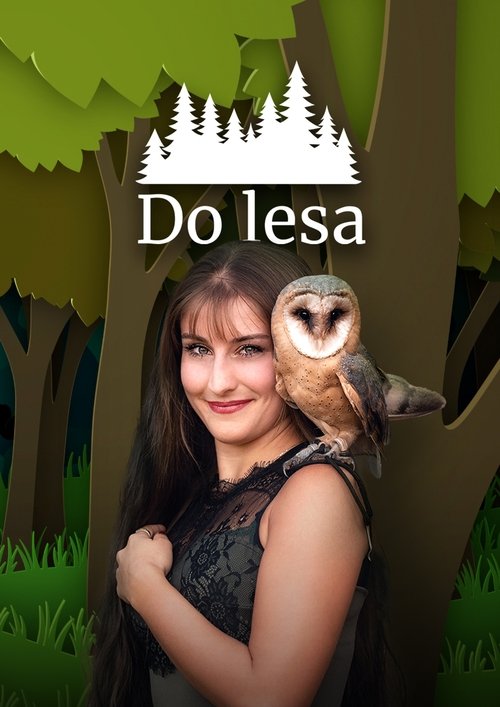 Do lesa tv show poster
