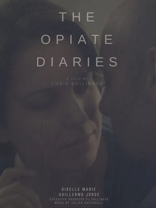 The Opiate Diaries movie poster
