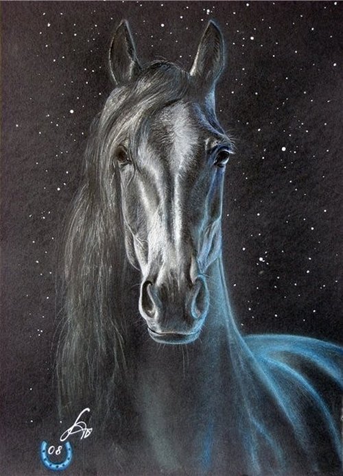 Mustang Pacer movie poster