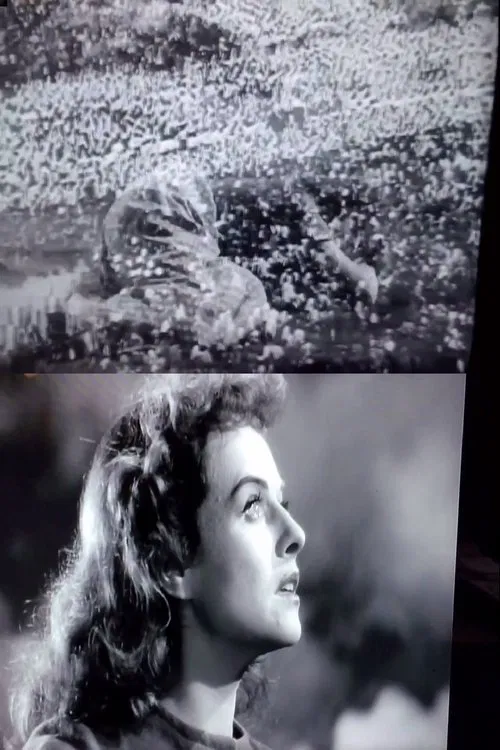 The War of Images movie poster