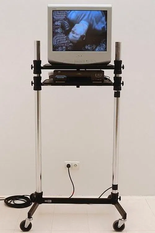 Poster do filme Douglas Gordon sings the best of Lou Reed & The Velvet Underground (For Bas Jan Ader)